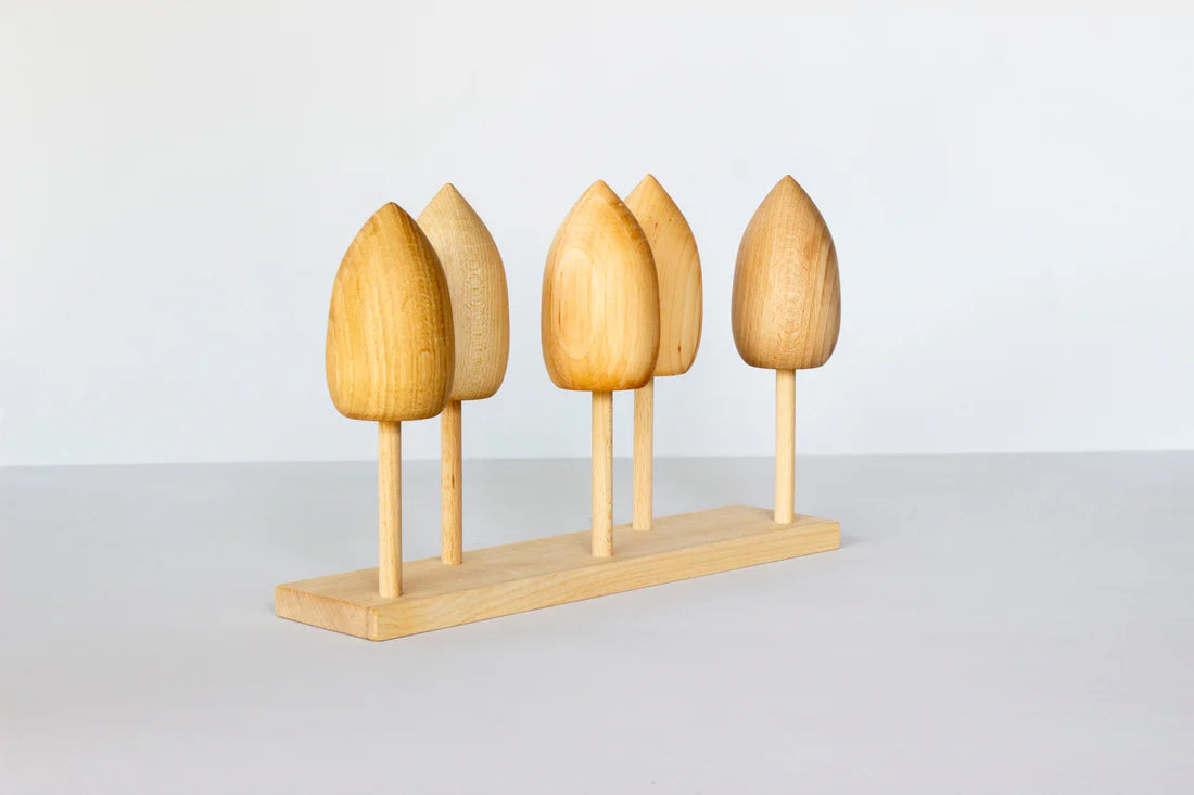 Drewniana Układanka Gatunki Drzew