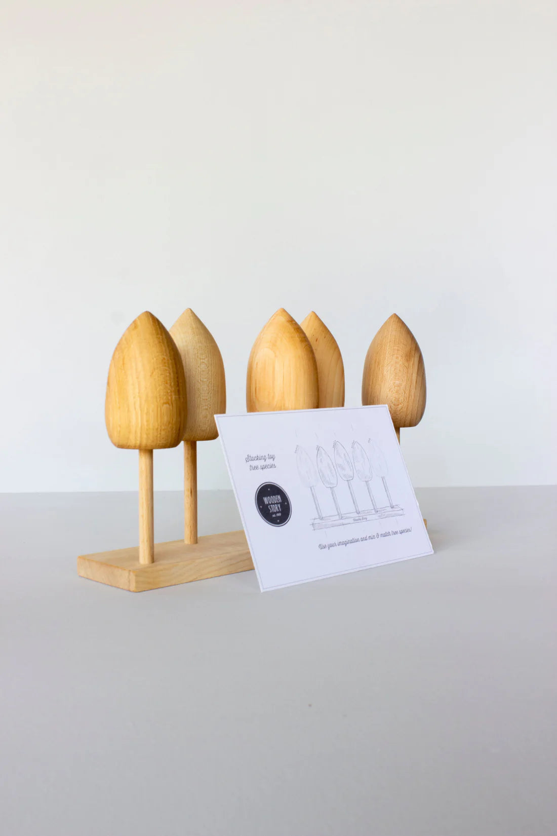 Drewniana Układanka Gatunki Drzew