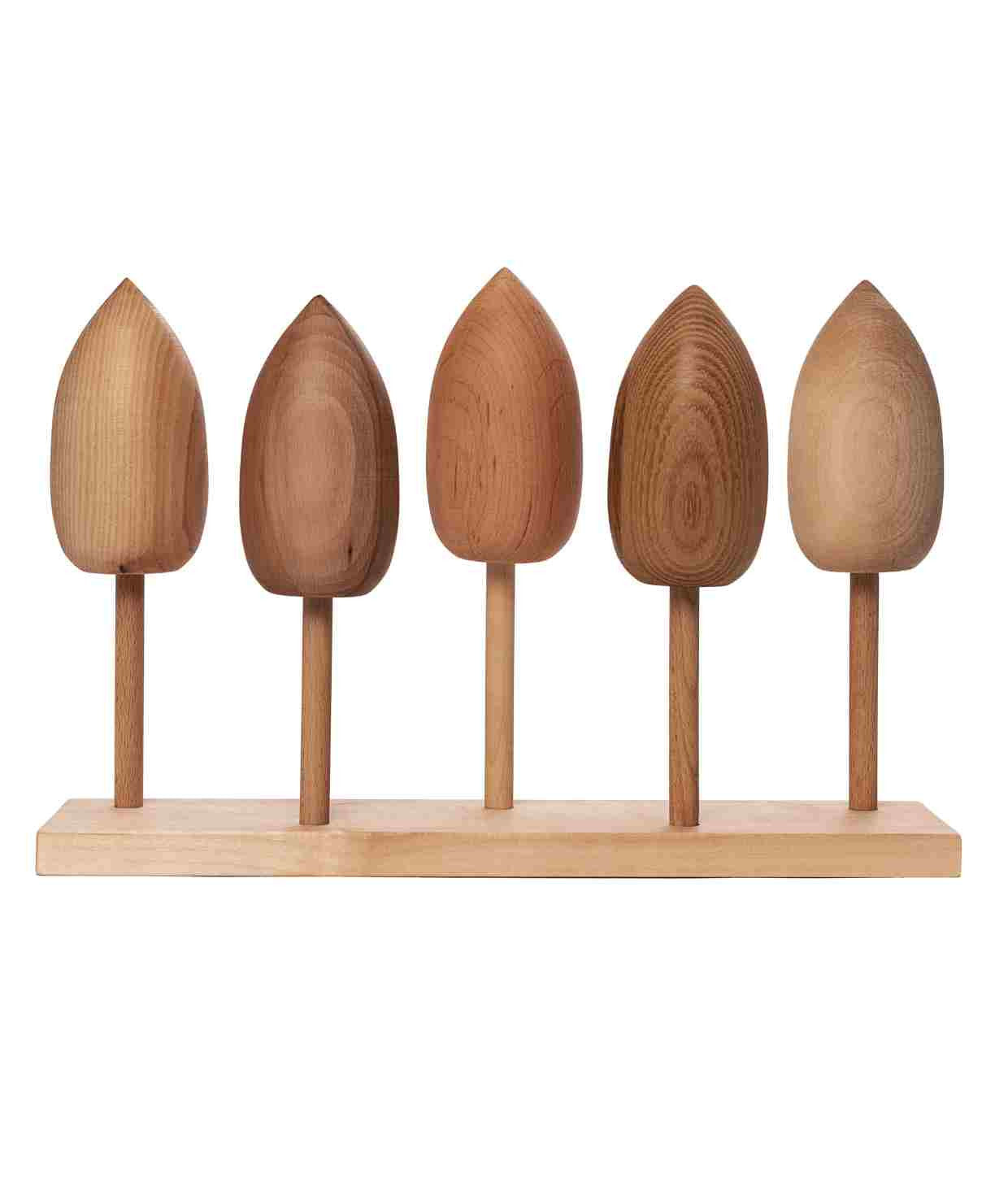 Drewniana Układanka Gatunki Drzew