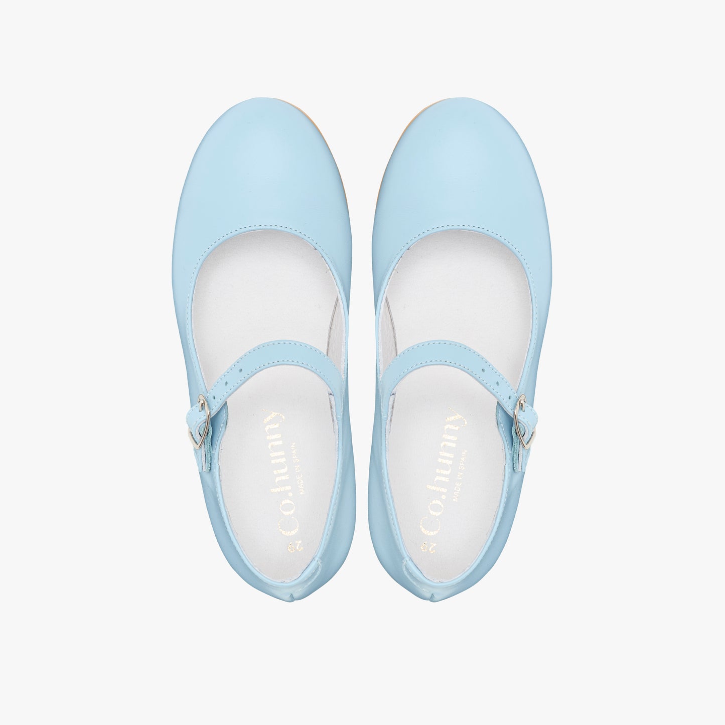 Blue mary jane ballet flats
